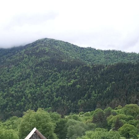 Zviad Guest House Bordzjomi Buitenkant foto
