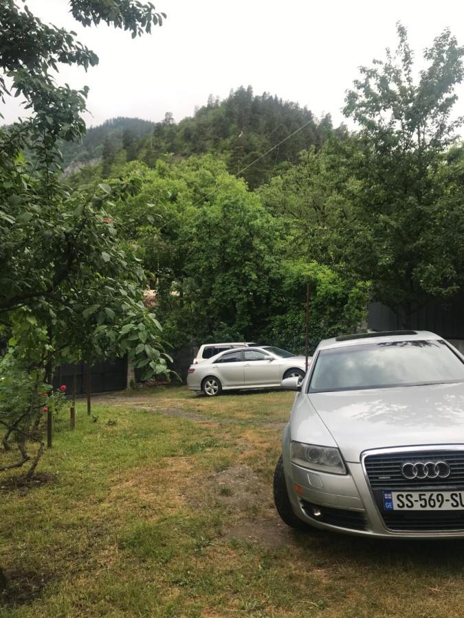 Zviad Guest House Bordzjomi Buitenkant foto