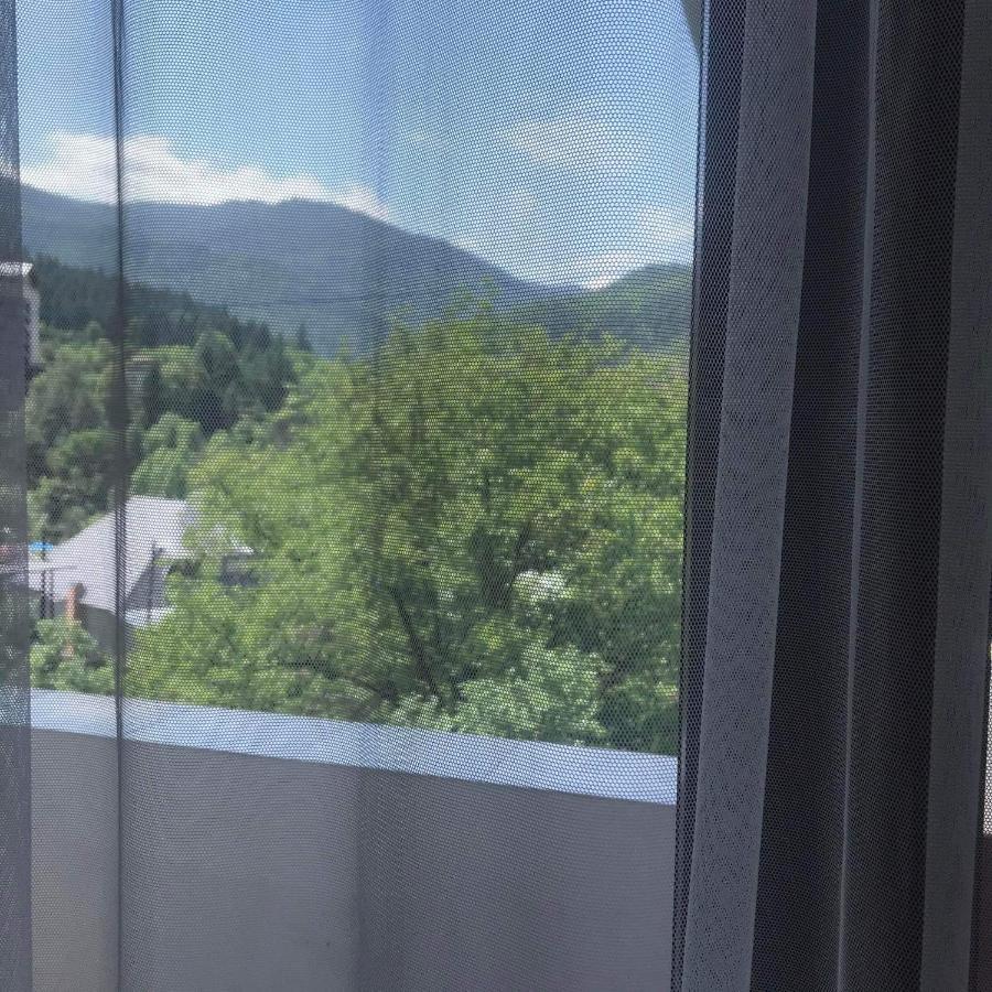 Zviad Guest House Bordzjomi Buitenkant foto