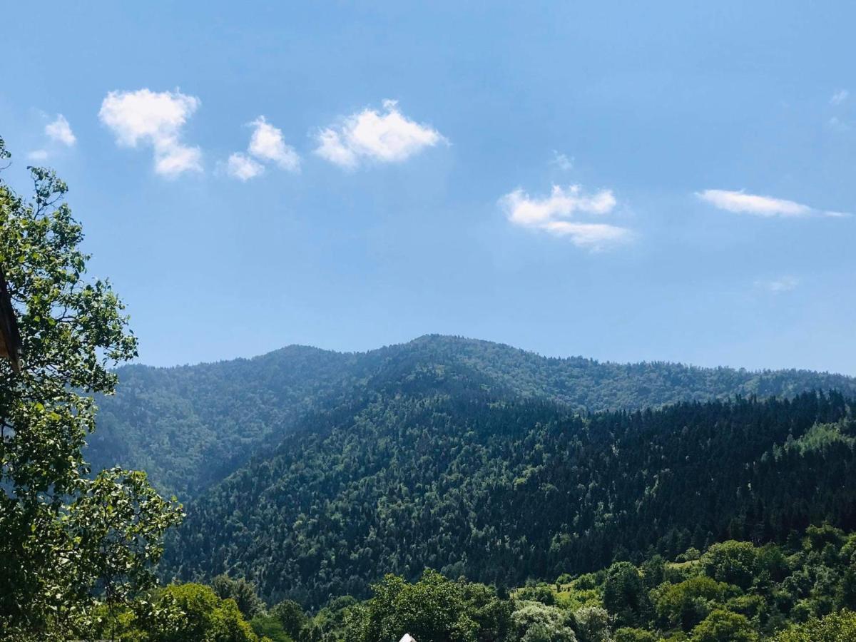 Zviad Guest House Bordzjomi Buitenkant foto