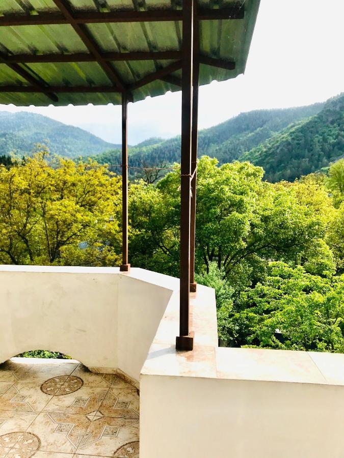 Zviad Guest House Bordzjomi Buitenkant foto