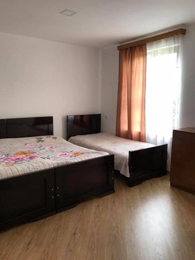Zviad Guest House Bordzjomi Buitenkant foto