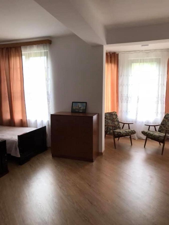 Zviad Guest House Bordzjomi Buitenkant foto
