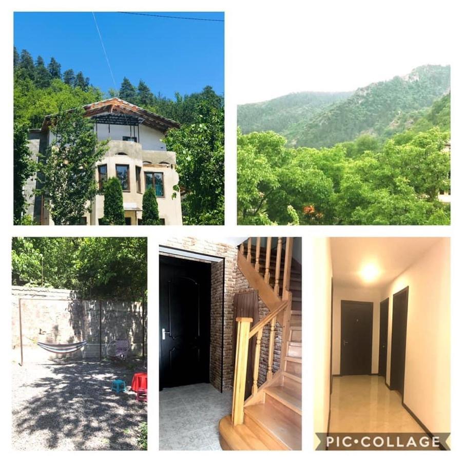Zviad Guest House Bordzjomi Buitenkant foto