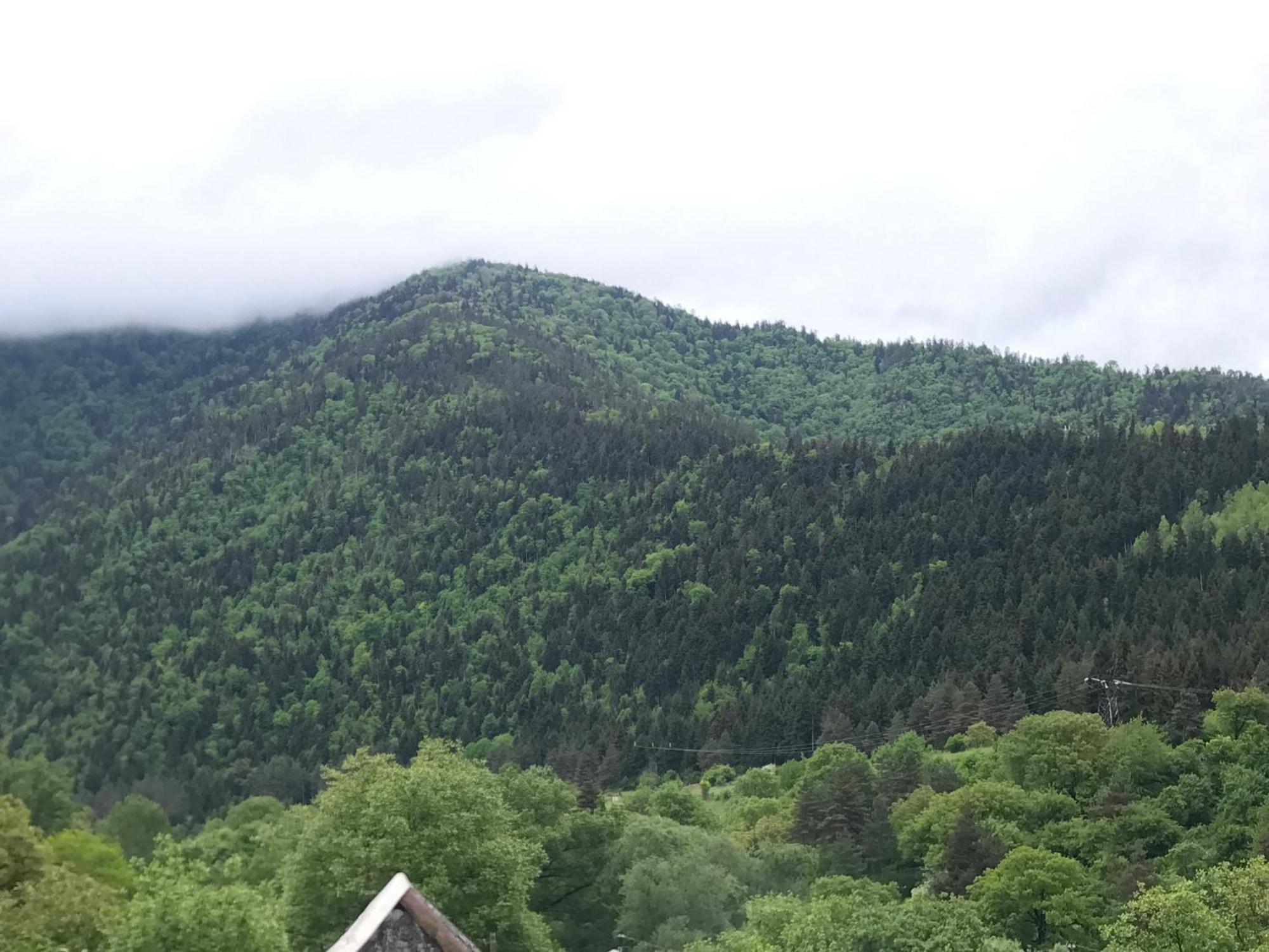 Zviad Guest House Bordzjomi Buitenkant foto