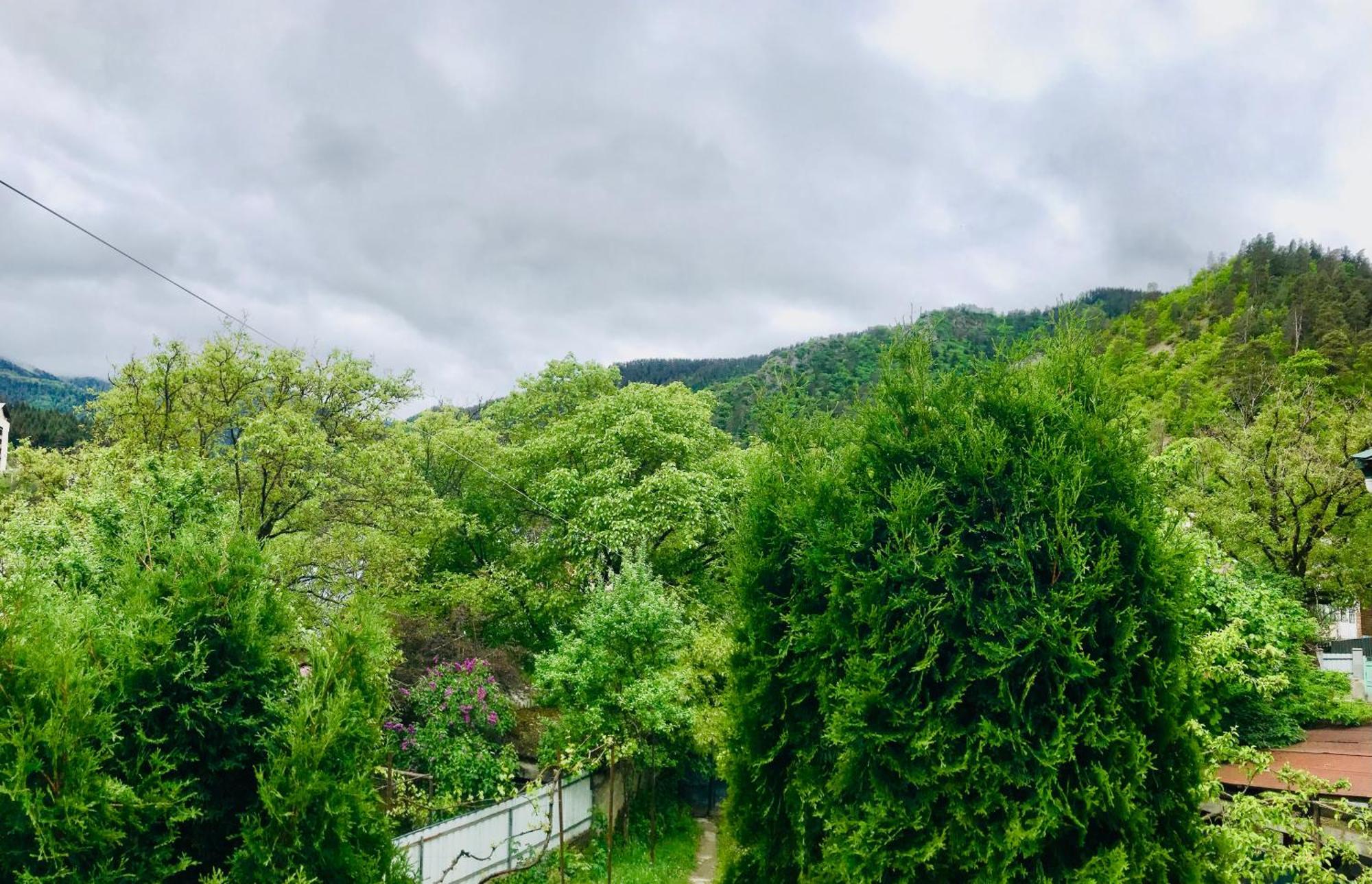 Zviad Guest House Bordzjomi Buitenkant foto