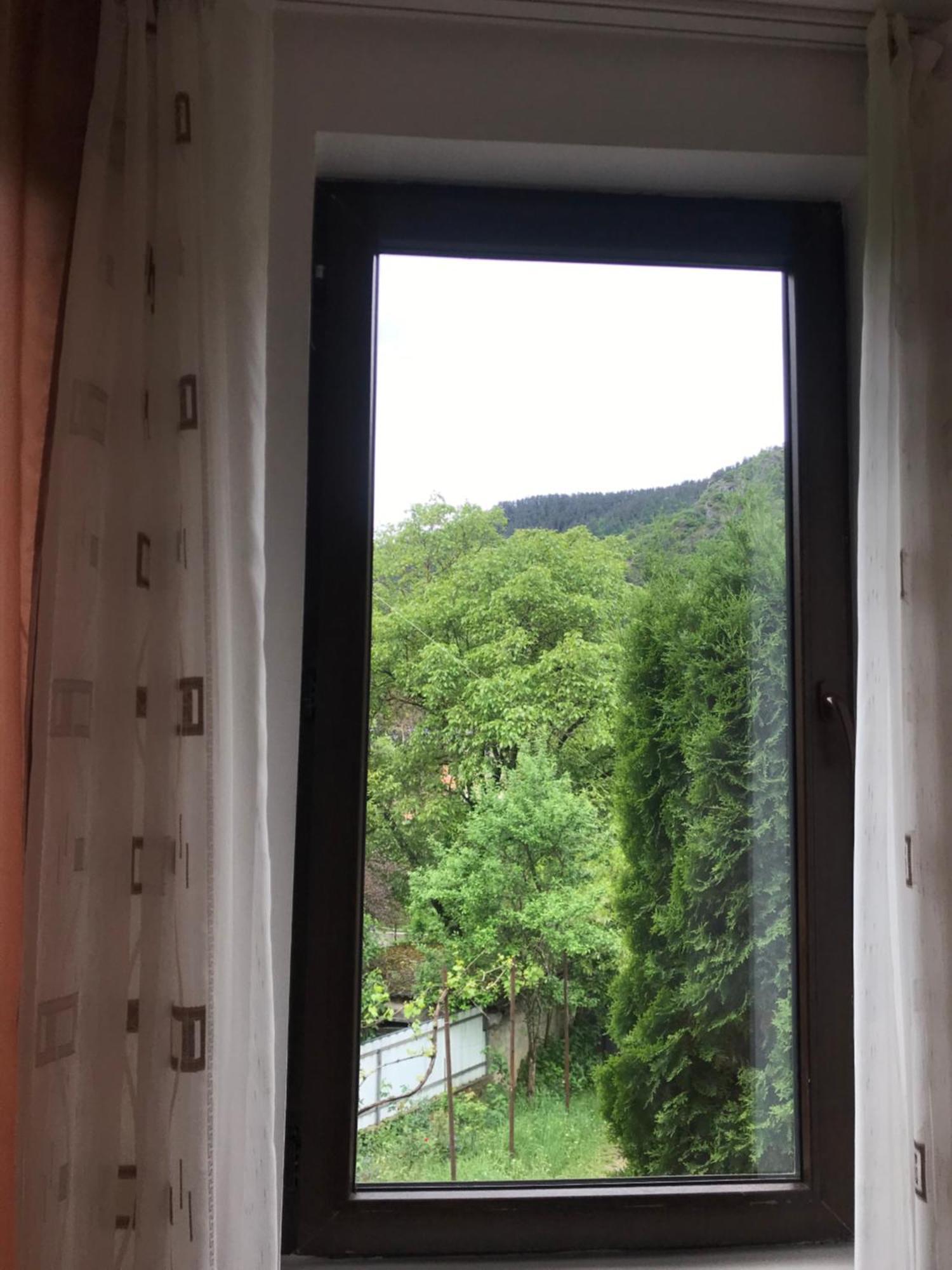 Zviad Guest House Bordzjomi Buitenkant foto