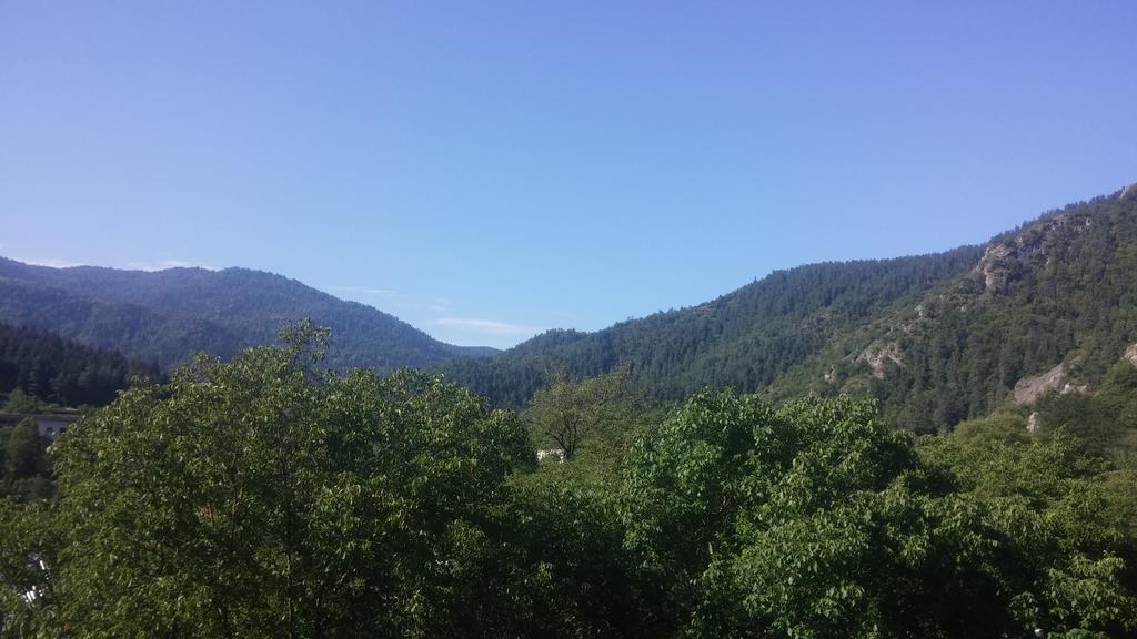 Zviad Guest House Bordzjomi Buitenkant foto