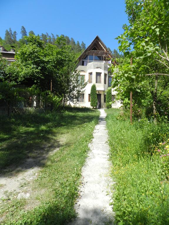 Zviad Guest House Bordzjomi Buitenkant foto